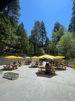 photo of Lake Arrowhead Brewing Beer Garden. Picnic tables, yellow umbrellas set below towering pine trees. 